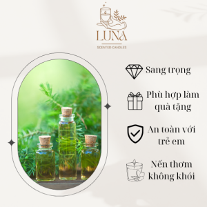 Tinh Dầu Tràm Trà Nguyên Chất, Sản Phẩm Tinh Dầu Tràm 100% Tự Nhiên